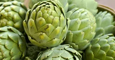 alcachofa