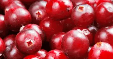 arandanos rojos