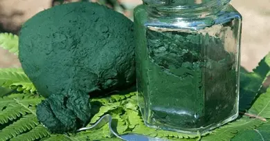 espirulina