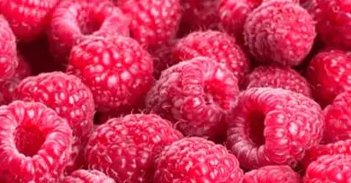frambuesas