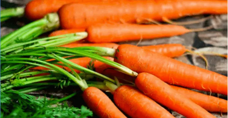 zanahorias